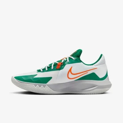 Chaussure de basketball Nike Precision 6 Blanc Malachite DD9535-103