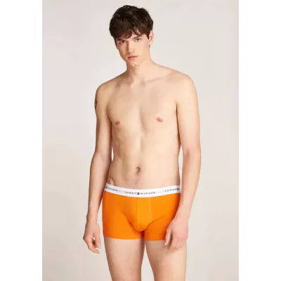 Pack de 3 boxers homme Tommy Hilfiger ESSENTIAL TRUNK UM0UM02761-0VH multicolore avec ceinture logo élastique