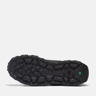 Baskets Timberland Winsor Trail homme noires avec tissu ReBOTL™, semelle GreenStride™ et technologie OrthoLite® TB0A6BS1EK9