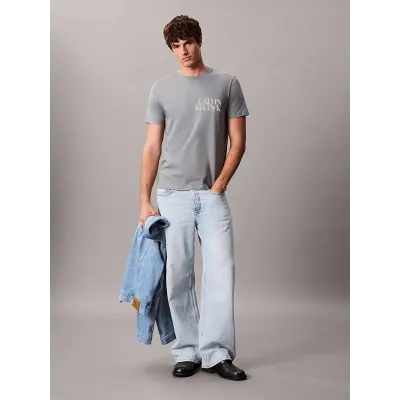 T-shirt Calvin Klein CK NK Word gris à manches courtes pour homme, référence LV04RC844G-RMG