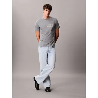 T-shirt Calvin Klein CK NK Word gris à manches courtes pour homme, référence LV04RC844G-RMG
