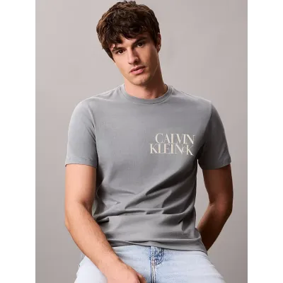 T-shirt Calvin Klein CK NK Word gris à manches courtes pour homme, référence LV04RC844G-RMG