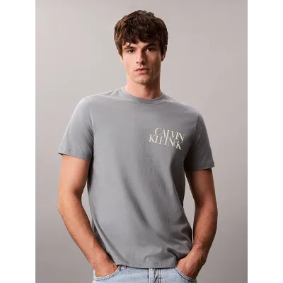 T-shirt Calvin Klein CK NK Word gris à manches courtes pour homme, référence LV04RC844G-RMG