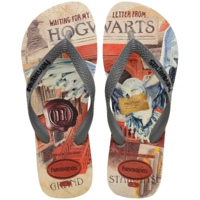 Tongs Havaianas Top Classics Warner Multicore 4149890-9256