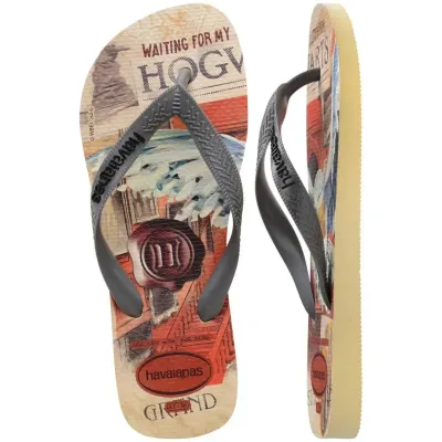 Tongs Havaianas Top Classics Warner Multicore 4149890-9256