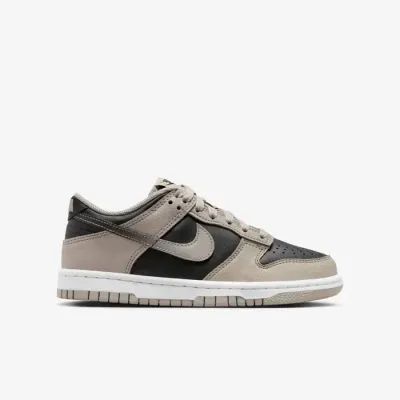 Nike Dunk Low gris et noir HV6363-009