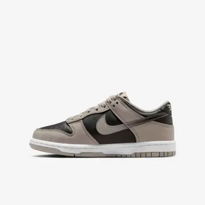 Nike Dunk Low gris et noir HV6363-009