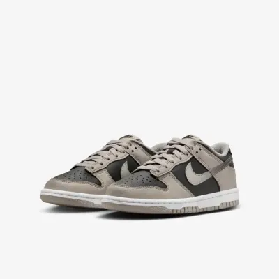 Nike Dunk Low gris et noir HV6363-009
