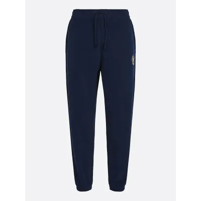 Pantalon de survêtement Tommy Jeans homme bleu marine DM0DM19805-C1G, 100 % coton, Regular Fit avec crest brodé