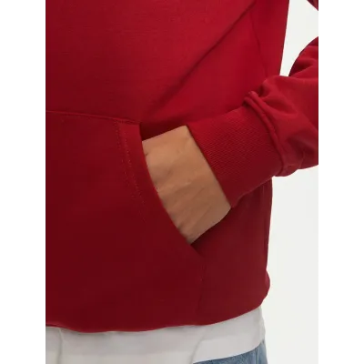 Sweat à capuche Tommy Jeans homme Reg Linear Gold Hood Ext rouge DM0DM20503-XIT avec intérieur rembourré et logo brodé