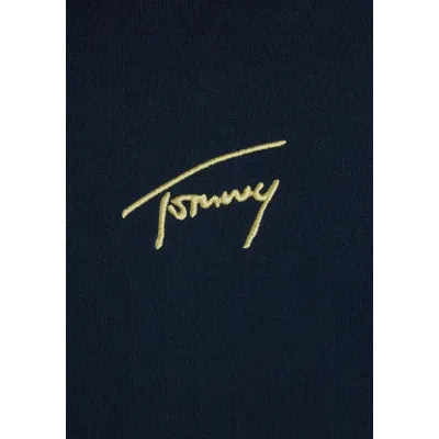 Hoodie Tommy Jeans homme Reg Gold Signature bleu marine DM0DM20507-C1G avec logo signature doré brodé sur la poitrine