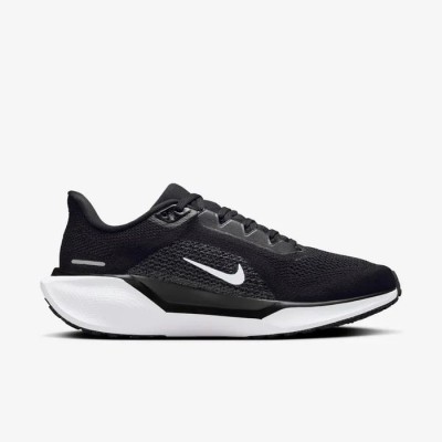 PEGASUS 41