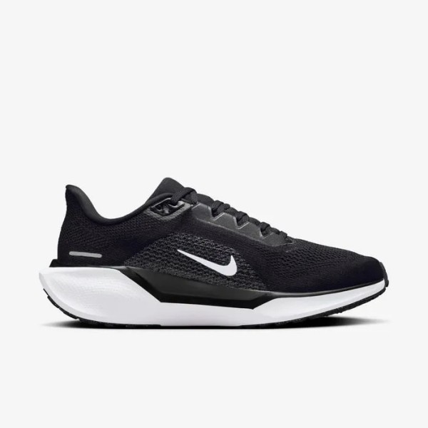PEGASUS 41
