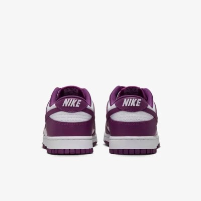 Nike Dunk Low Retro DV0833-107 Blanc Viotech Homme