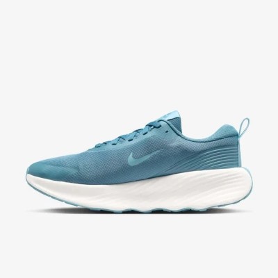 Nike Promina bleu fumé Réf FV5285-006